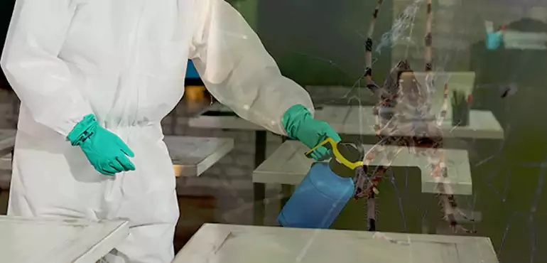 Why Buyers Still Want Homes With Pest Infestations in Hagatna, GU?