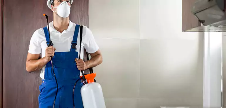 Why Hagatna Homeowners Choose Us When Pests Make Selling Difficult